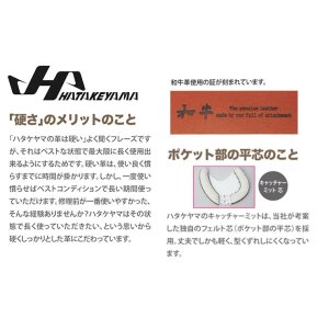 画像4: ハタケヤマ 硬式用キャッチャーミット（M19型 甲斐モデル）