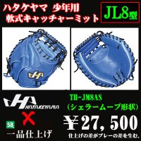 ハタケヤマ 少年軟式用キャッチャーミット（THシリーズJL8型）