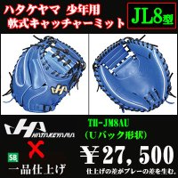ハタケヤマ 少年軟式用キャッチャーミット（THシリーズJL8型）